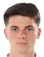 Mario Tudose