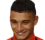Tommaso Milanese