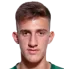 Vasilios Zagaritis