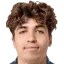Mihai Lupan