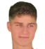 Bálint Geiger