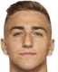 Dominik Akrap