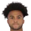 Erik Palmer-Brown