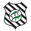 Figueirense SC Youth
