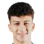 Ali Mahmoud