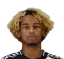 Matheus Nunes Fagundes De Araujo