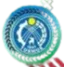 Burana Tokmok