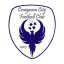 Craigavon City (W)
