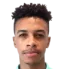Wellington Priori