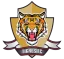 Club Tigres FC