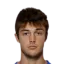 Luka Dajcer