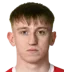 Peter Maguire